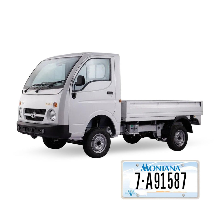Montana Mini Truck Title Recovery and Registration