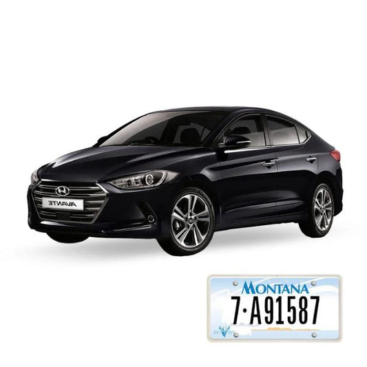 Montana Imported Car Registration